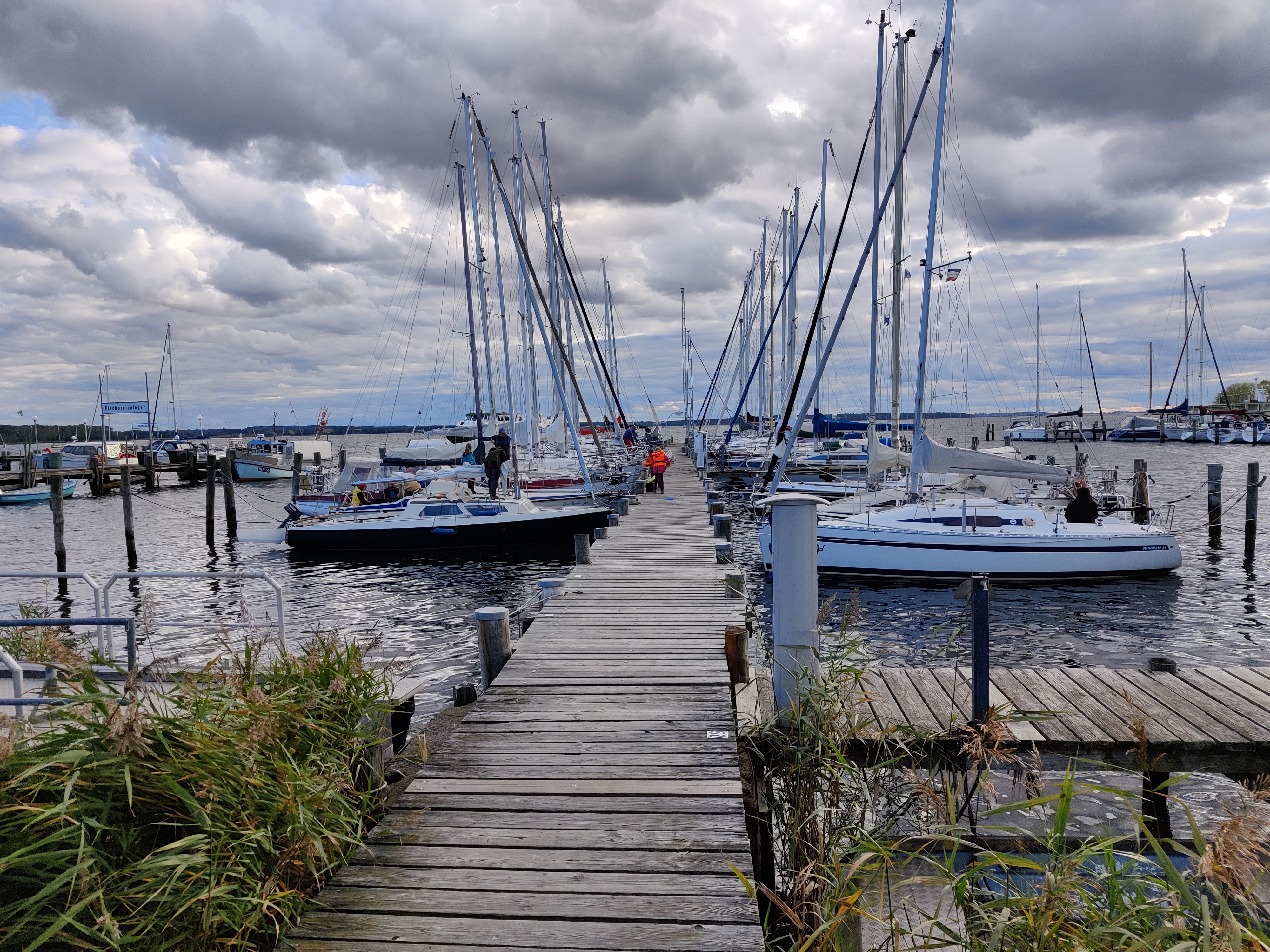 Hafen Rerik mit Fischerbooten